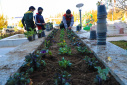 آغاز کاشت گل‌های زمستانی در دانشگاه بیرجند
